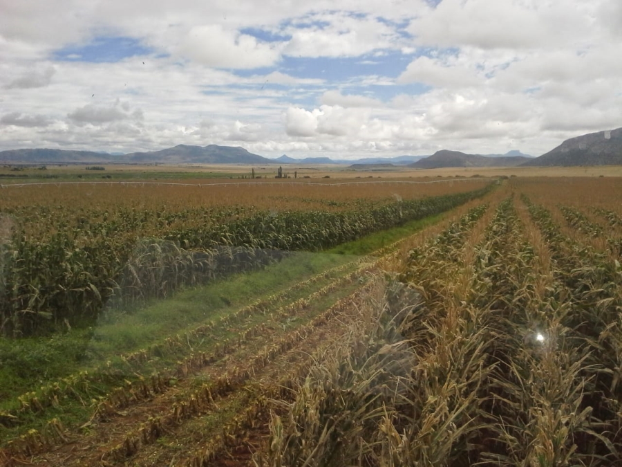 5 Bedroom Property for Sale in Queenstown Rural Eastern Cape
